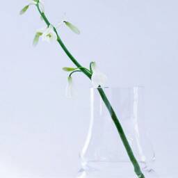 Vases For Flowers, Centerpieces, Flower Arrangement, Perfect Bouquets - thumbnail 3