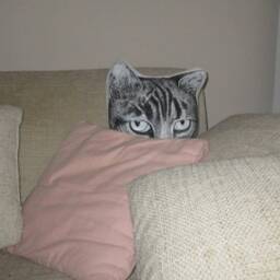 Hand-Painted Tabby Cat Pillow, Decorative Head Cushion - thumbnail 3
