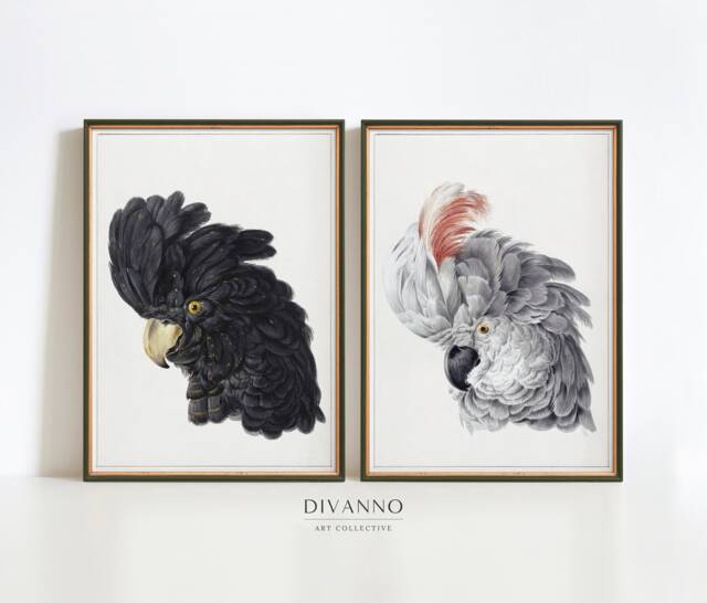 Set Of 2 Prints, Birds Canvas Printable, Minimalist Animal Gallery, Cockatoo Pair Wall Art, Black & Grey Decor, Natural History Poster - image 1
