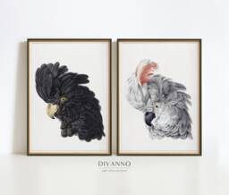 Set Of 2 Prints, Birds Canvas Printable, Minimalist Animal Gallery, Cockatoo Pair Wall Art, Black & Grey Decor, Natural History Poster - thumbnail 1
