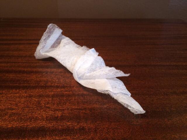 Dryer Sheet Parrot
