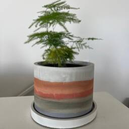 Zero-Waste Concrete Planter Modern Cement Plant Pot With Drainage - thumbnail 2