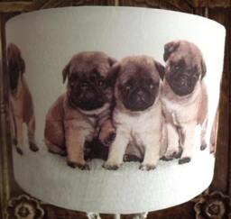 Pug Puppy Lampshade Shabby Chic Dog Lovers Fatta Da Mamma Free Gift - thumbnail 1