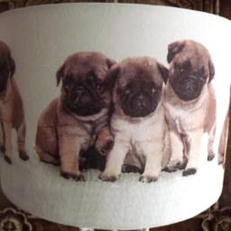 Pug Puppy Lampshade Shabby Chic Dog Lovers Fatta Da Mamma Free Gift - thumbnail 2