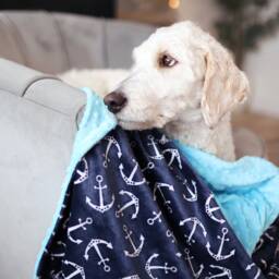 Personalized Minky Blanket - Anchor Baby -Nautical Baby Blanket- Boy Blanket - thumbnail 2