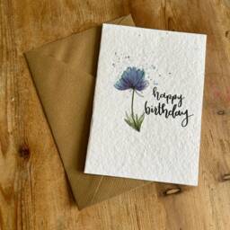 Birthday Herb Garden Grow Kit - Plantable Card, Sweets & Teas - thumbnail 2