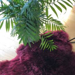 University , Student Room, Uni Room Decor, Fur Rug, Sheepskin Bed Throw, Chair Cover, Interior Amazing Gift - thumbnail 2
