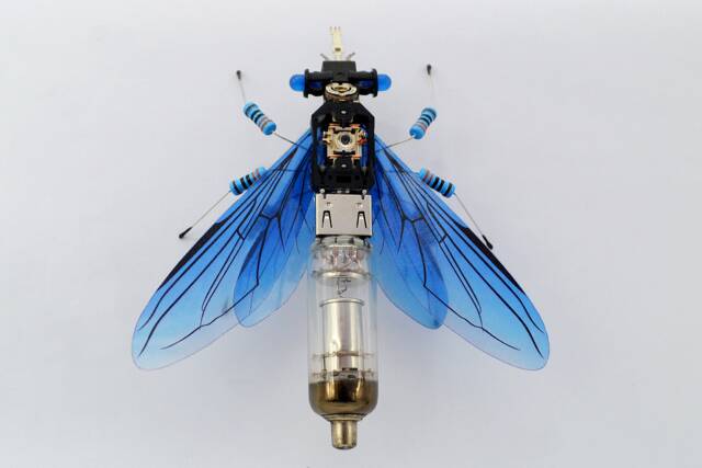 Horsefly - image 1