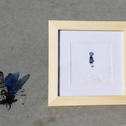 Horsefly - thumbnail 3