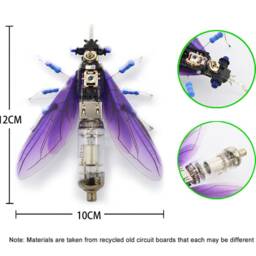 Horsefly - thumbnail 4