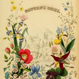Nature's Gems Botanical Collection Vintage Gravure Art Printed Custom Made Window - Bt39 Roller Blind - thumbnail 3
