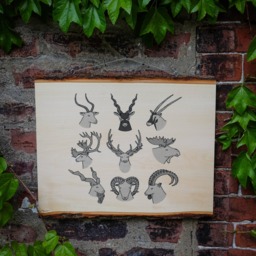 Antlers & Horns -- Screenprinted Wood Slab Wall Art - thumbnail 1