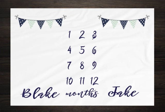 Twin Baby Milestone Blanket Month Growth Tracker Fleece Shower Newborn Gift Minky Boy Girl - image 1