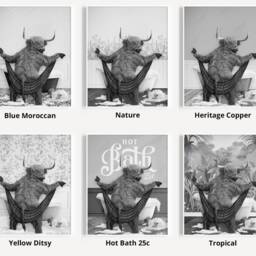 Black & White Highland Cow Drying With A Towel in Bathroom Print, Bathing, Funny Bath Bathroom, Animal Bathtub, Tub - thumbnail 3