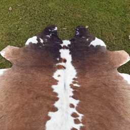 Genuine Cowhide Rug Brown & White - Tricolor Cow Skin Large Brazilian Area Western Decor - thumbnail 3