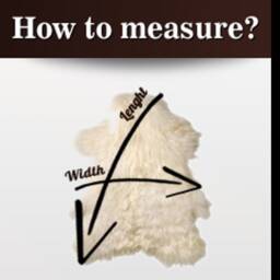 Gray Sheepskin Natural Rugs Amazing Sheep Skin Leather Decorative Rug Comfy Area Carpet Throw #64 - thumbnail 3