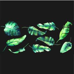 Tropical Leaves Wall Decal Handmade Jungle Stickers - 9 Leaves - thumbnail 2