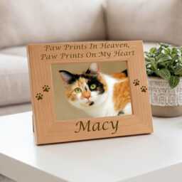 Paw Prints in Heaven Cat Memorial Frame, Personalized Family Pet Loss Keepsake Gift, Passing Of Sympathy Tribute