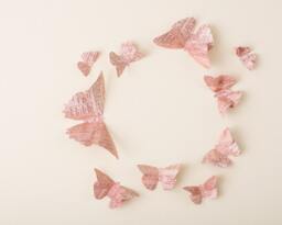 Paper Butterflies Logophile Maroon 3D Butterflies For Wall Decor, Wedding Photo Shoots - thumbnail 1