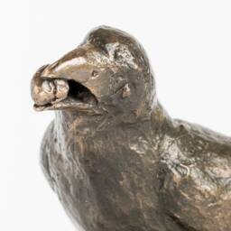 Crow With Nut, Bronze Sculpture, Patinated - thumbnail 3