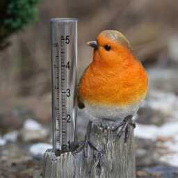 Robin Rain Gauge Resin Statue Home Garden British Bird Sculpture Outdoor Ornament Robins Appear Gift - thumbnail 3