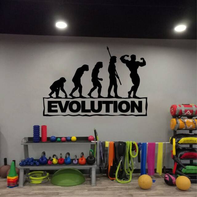 Evolution Fitness Wall Decal Gym Decor, Motivational Quote T762 - image 1