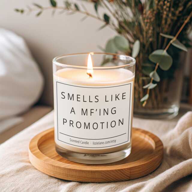 Job Promotion Gift, Promoted Candle, Coworker Promotion, Scented Smells Like A Mf'ing Congratulation On - image 1