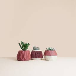 Set Of 3D Printed Cactus Planters, Succulent Mid Century Idea Gift For Home - thumbnail 4