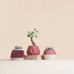 Set Of 3D Printed Cactus Planters, Succulent Mid Century Idea Gift For Home - thumbnail 2