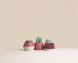 Set Of 3D Printed Cactus Planters, Succulent Mid Century Idea Gift For Home