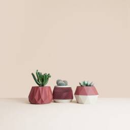 Set Of 3D Printed Cactus Planters, Succulent Mid Century Idea Gift For Home - thumbnail 3