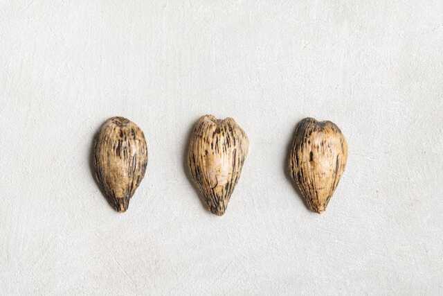 Set Of 3 Handmade Ceramic Pod Wall Art Modern 3D Decor - image 1