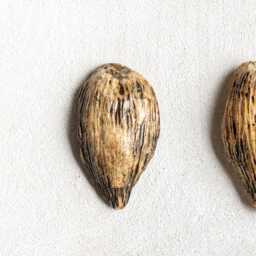 Set Of 3 Handmade Ceramic Pod Wall Art Modern 3D Decor - thumbnail 3