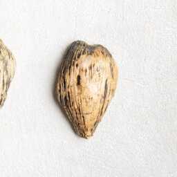 Set Of 3 Handmade Ceramic Pod Wall Art Modern 3D Decor - thumbnail 2