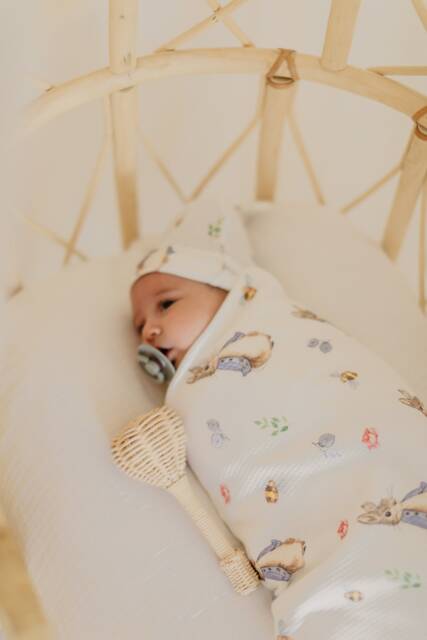 Peter Rabbit Organic Baby Blanket Set - Cotton With Hat, Soft & Warm Newborn Gift, Eco-Friendly, 0-6 Months - image 1