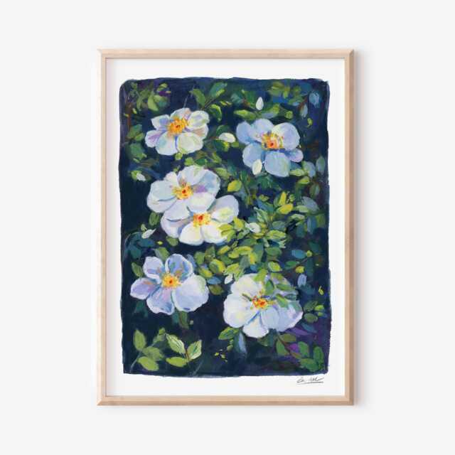 Cherokee Roses Gouache Art Print Floral Nature Wall - image 1