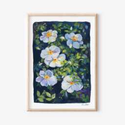 Cherokee Roses Gouache Art Print Floral Nature Wall - thumbnail 1