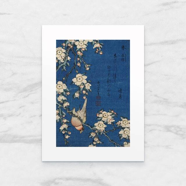 Hokusai Print Robin On Cherry Blossoms, Japanese Art - 24x18 cm