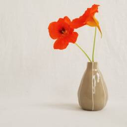 Bud Vase. Simple Original Handmade Pottery - thumbnail 3