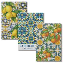 Canvas Wall Art Set Of 3 - Lemon Blossoms & Oranges in Italian Style, Orange Art, Plants Flowers Decor