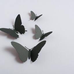 3D Wall Butterflies Butterfly Wall Decals, Paper Butterflies in Slate Grey, Modern Decor - thumbnail 3