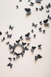 3D Wall Butterflies Butterfly Wall Decals, Paper Butterflies in Slate Grey, Modern Decor - thumbnail 1