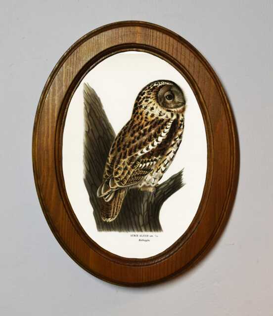 Tawny Owl Art Print, Oval Oak Wood Frame, Antique Vintage Style - image 1