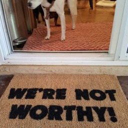 Funny Doormat, We're Not Worthy The Best Place For A Guest To Wipe Their Feet - thumbnail 2