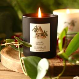 Creamy Coconut Soy Candle Vegan Natural Essential Oil Spa Gift Box Summer For Her Beach Decor Unique Design Palm - thumbnail 3