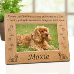 Cocker Spaniel, Dog Memorial Picture Frame, 3 Sympathy Quotes, Gifts Ideas Mom & Dad, Personalized Pet Lovers Gift Decor - thumbnail 3