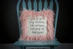 I Just Want To Raise Chickens, Take Pictures & Post On Instagram - Svart Chick Pillow 2 - thumbnail 1