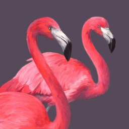 Flock Of Flamingos Cushion - Handmade Digitally Printed Silk Cushion - thumbnail 3