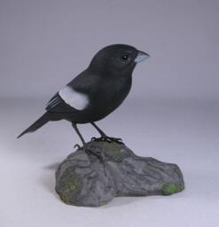 Lark Bunting Hand Carved & Painted Wooden Bird