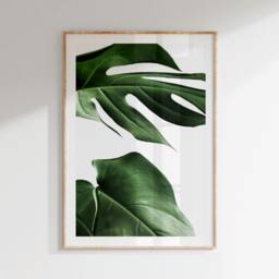 Green Leaf Prints, Set Of 2 Tropical Wall Art, Living Room Photography Posters, Monstera Leaves, Plants Bedroom Prints - thumbnail 3